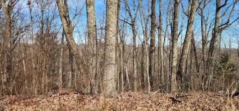 Undeveloped Lot Near Boating Access