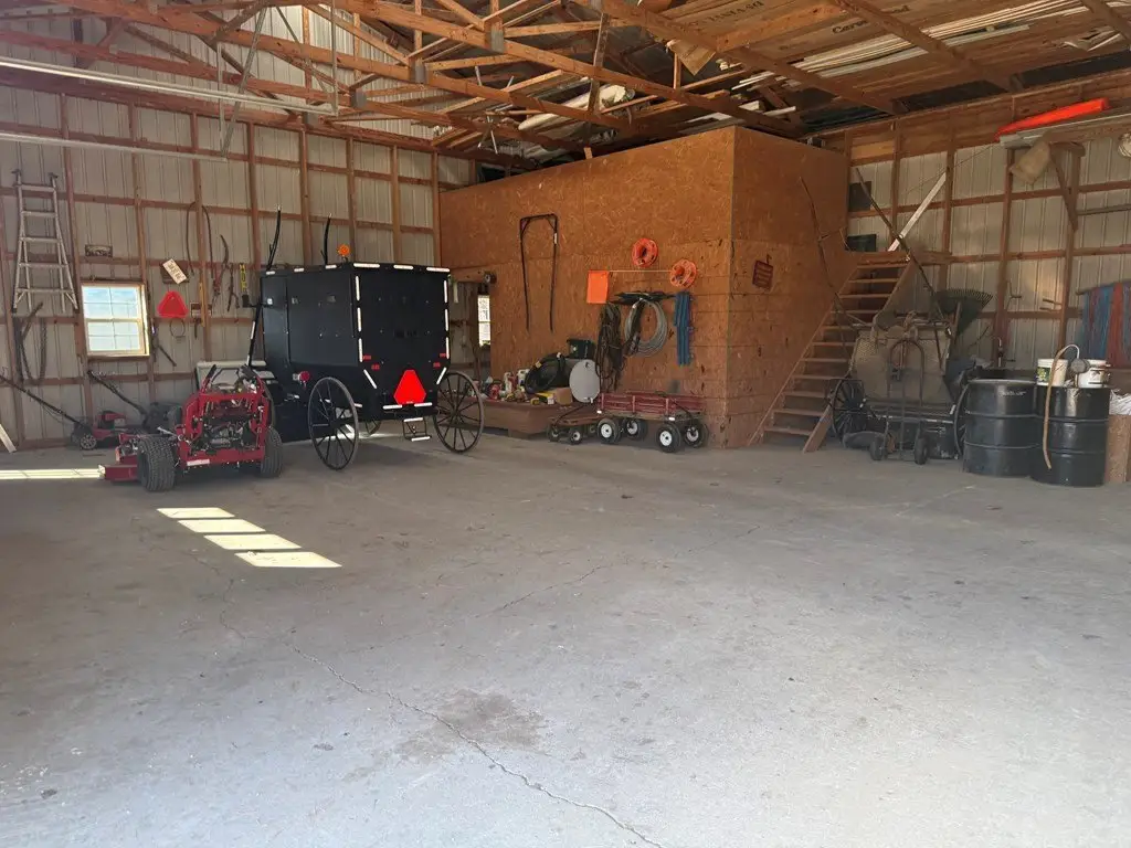 Picture 51
