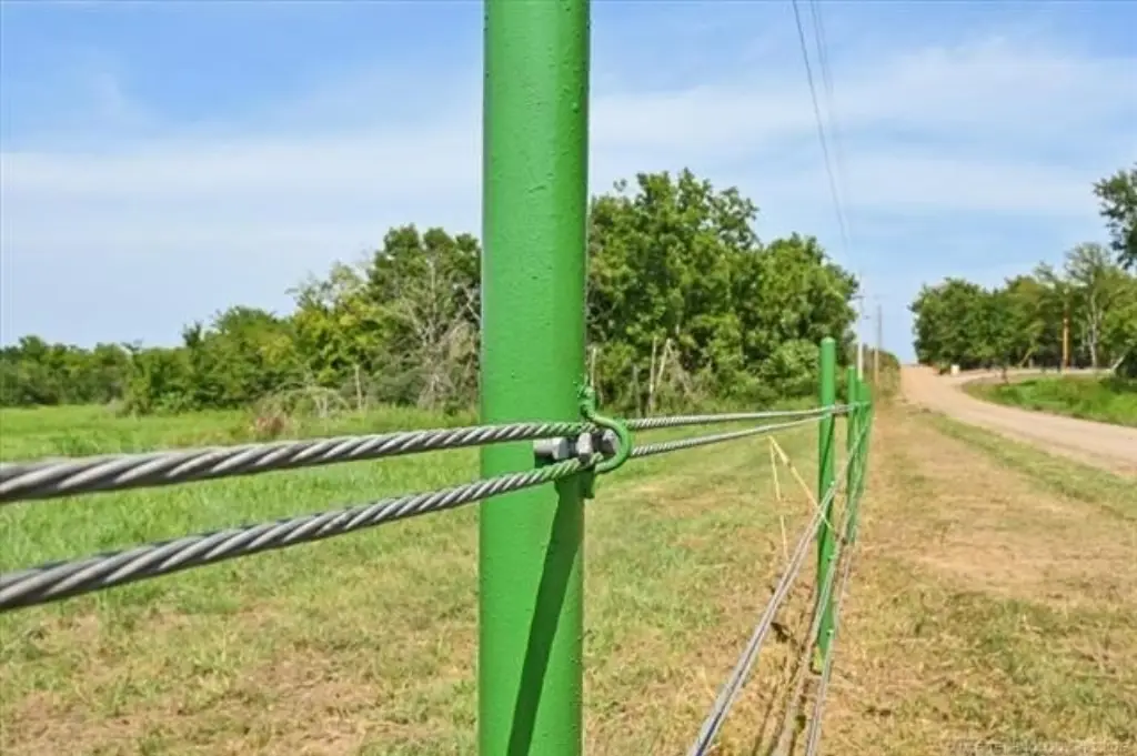 Picture 4