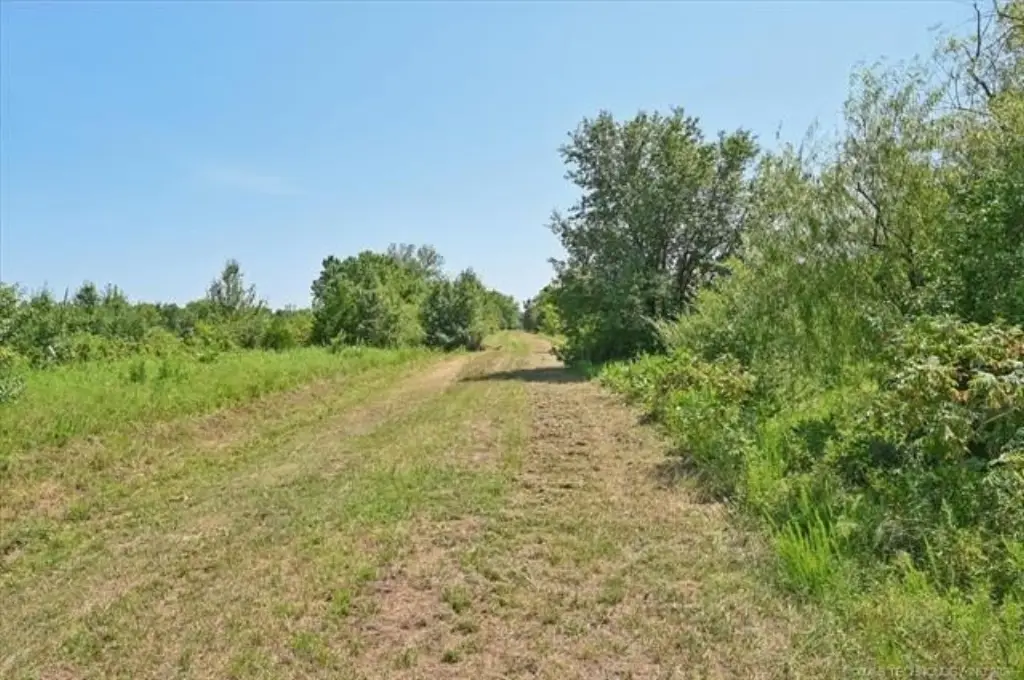 Picture 17