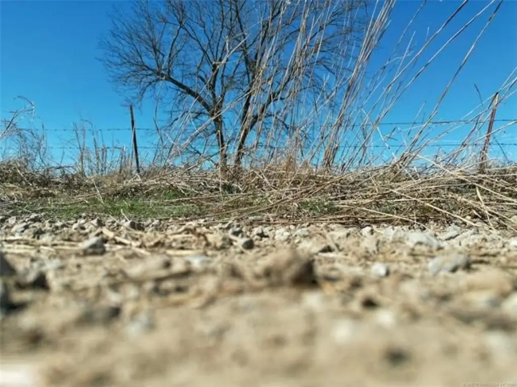 Picture 27