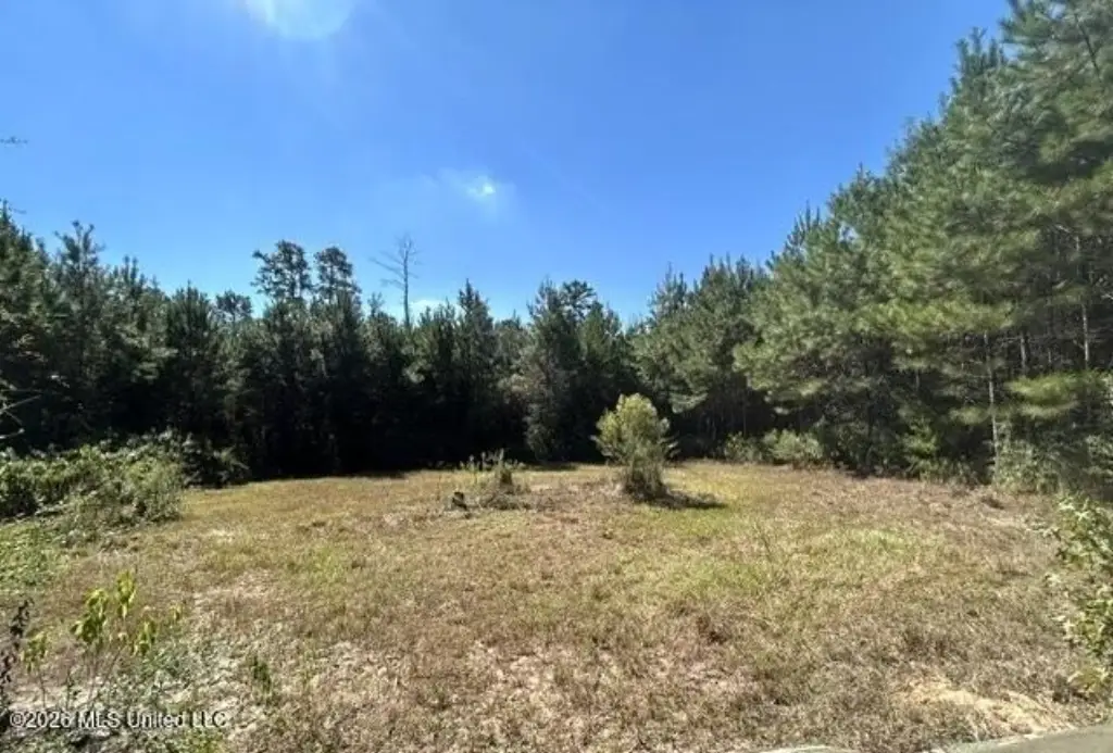 Picture 19