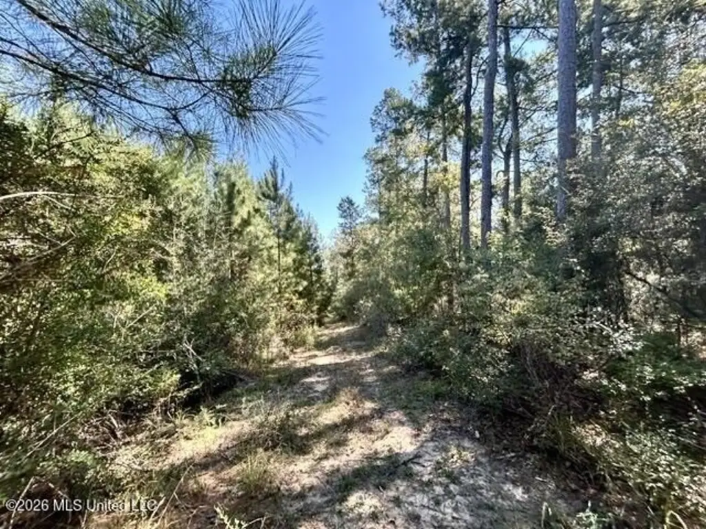 Picture 14