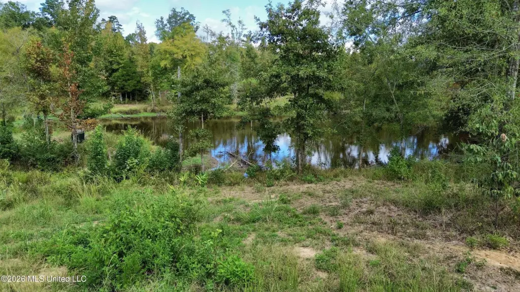 Picture 45