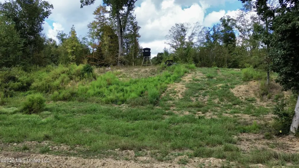 Picture 36