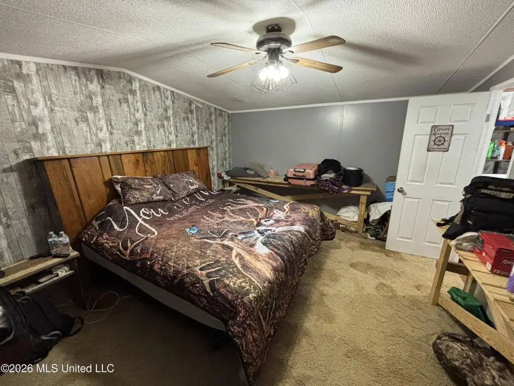 Picture 62