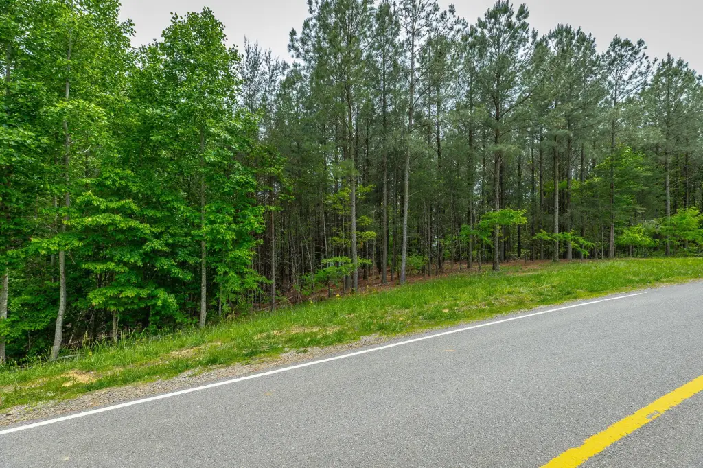 Picture 20