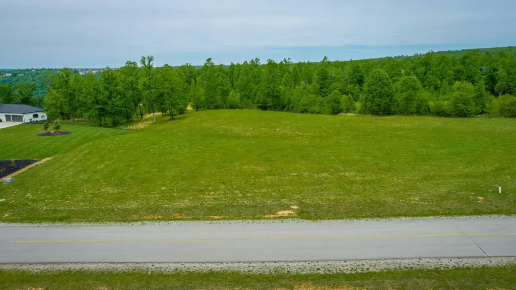 Picture 41