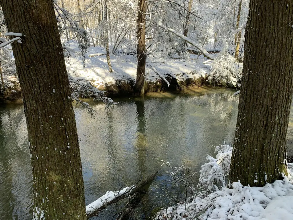Picture 13