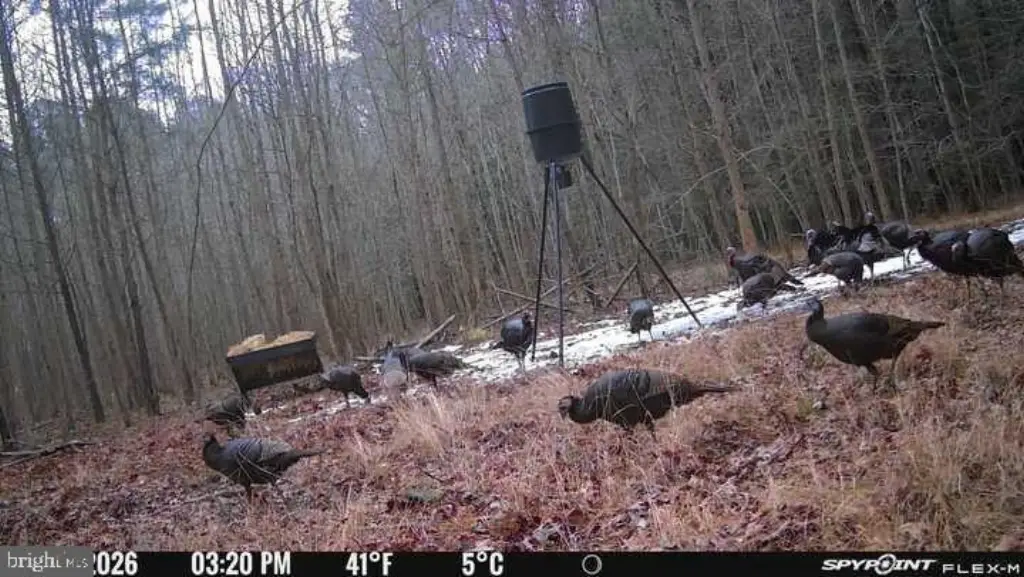 Picture 4
