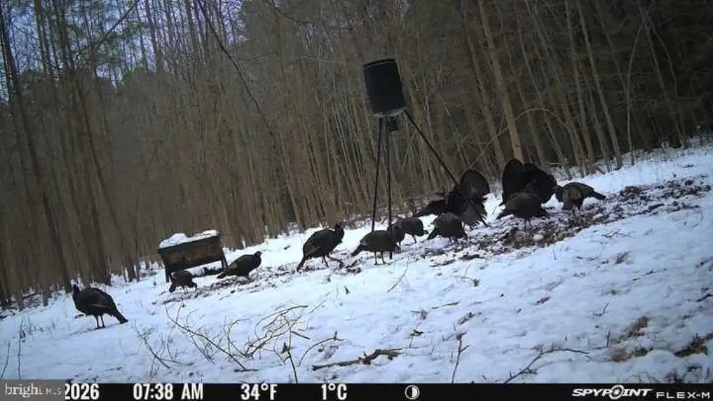 Picture 3