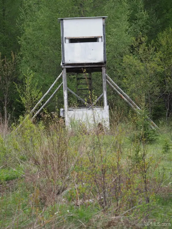 Picture 10