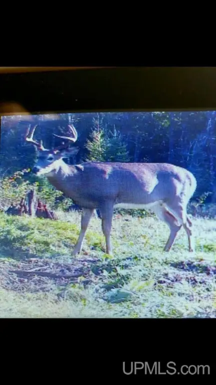 Picture 18