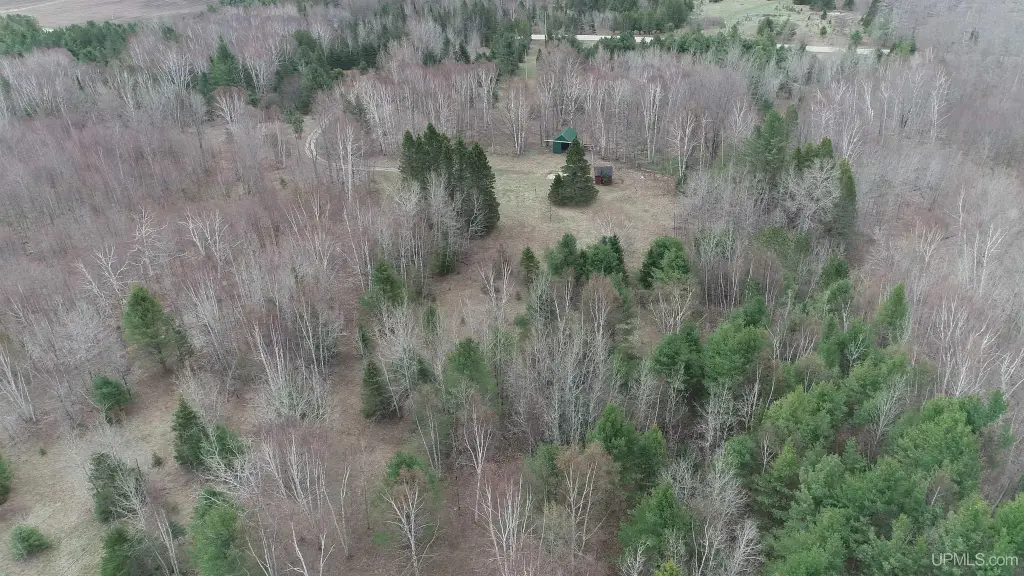 Picture 5