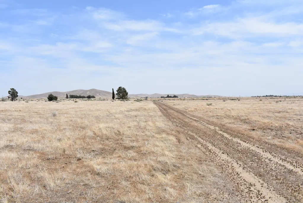 Picture 27