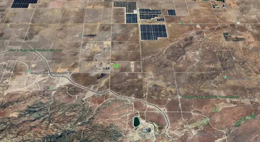 Picture 8