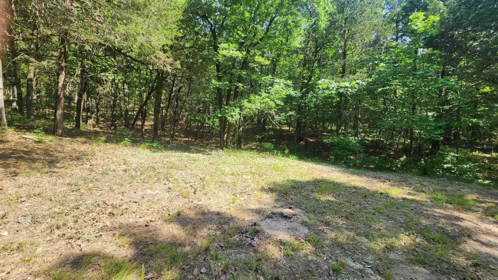Picture 12