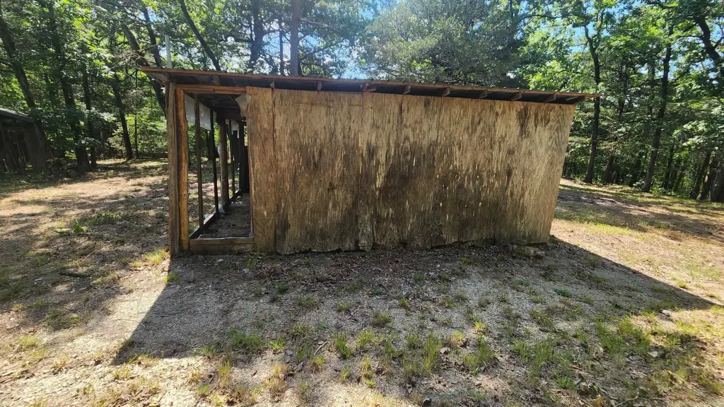 Picture 14