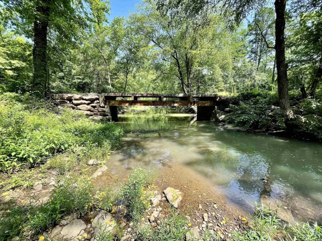 Picture 17
