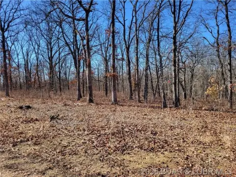 Land in Forbes Lake Community