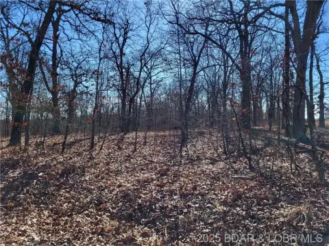 Edwards, MO Wooded Land