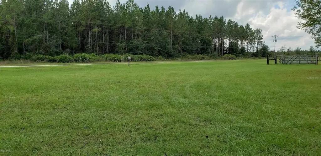 Picture 3
