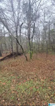 HARPERSVILLE Acreage with Creek Access