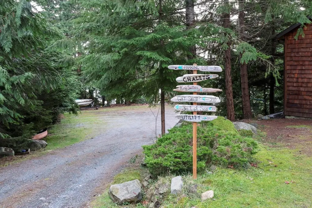 Picture 39