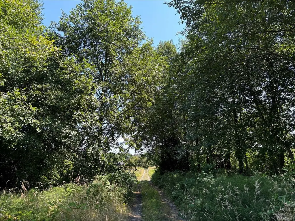 Picture 19