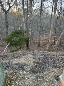 LaFollette, TN Land For Sale