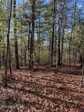 Tellico Plains Land with Views