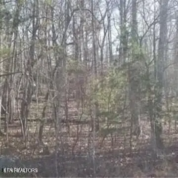 Fairfield Glade Buildable Lot