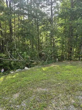 Land Bordering Cherokee National Forest
