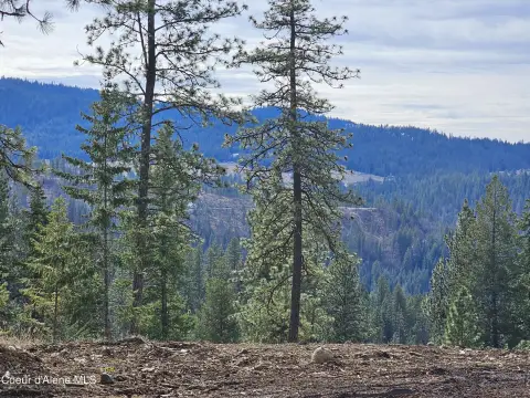 North Idaho Land with Creek