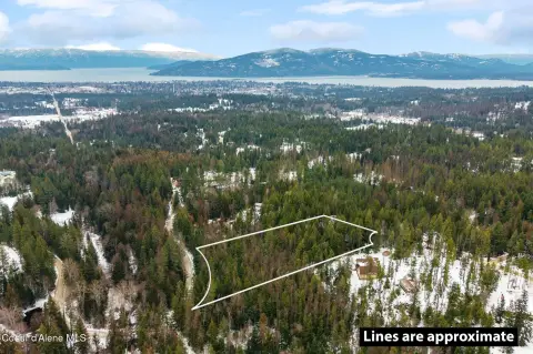 Wooded Land Parcel Near Sandpoint
