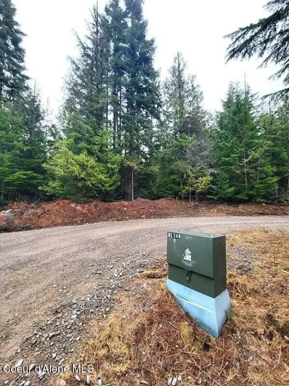Picture 4