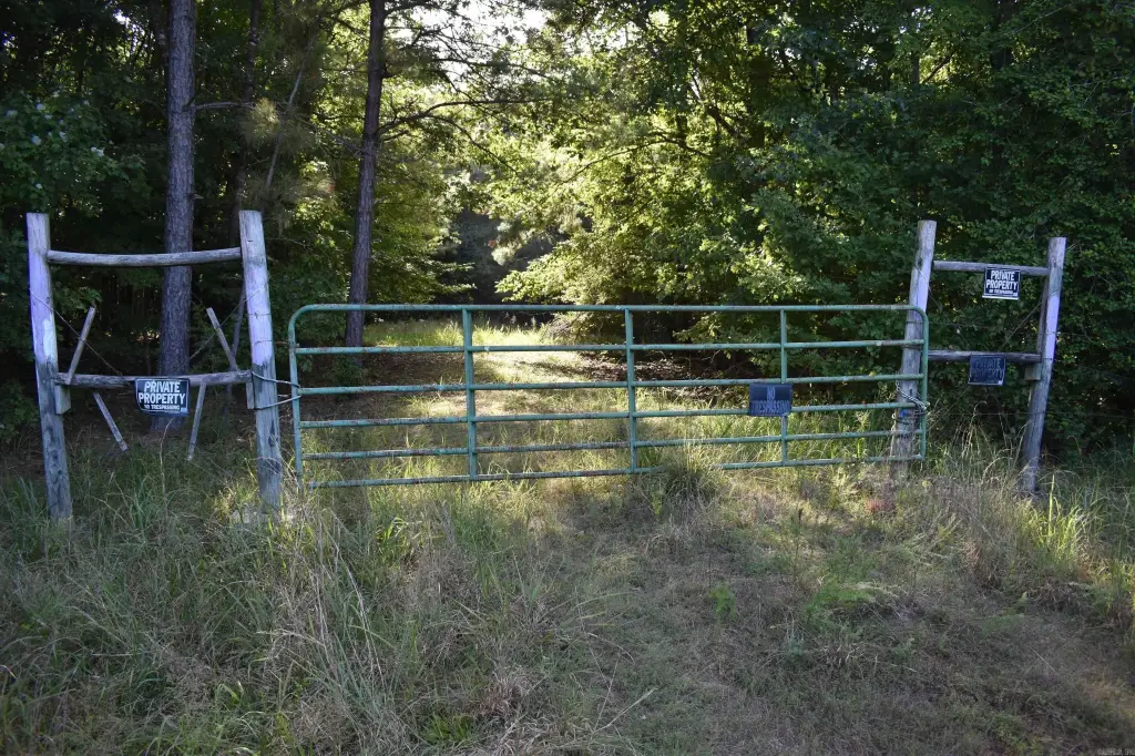 Picture 41