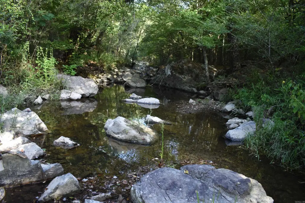 Picture 30