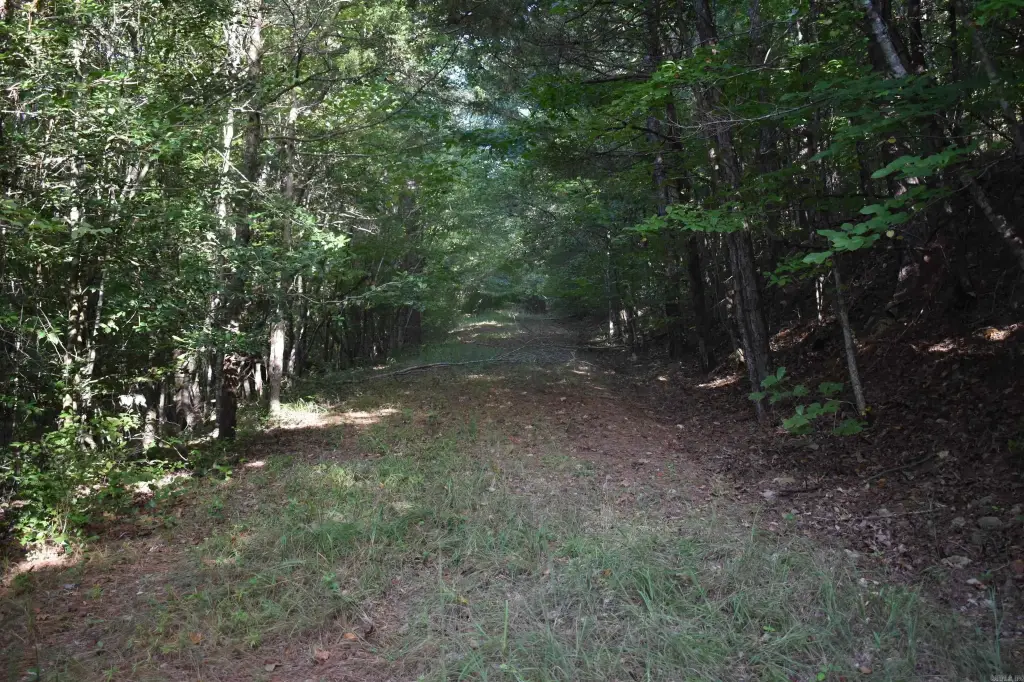 Picture 37