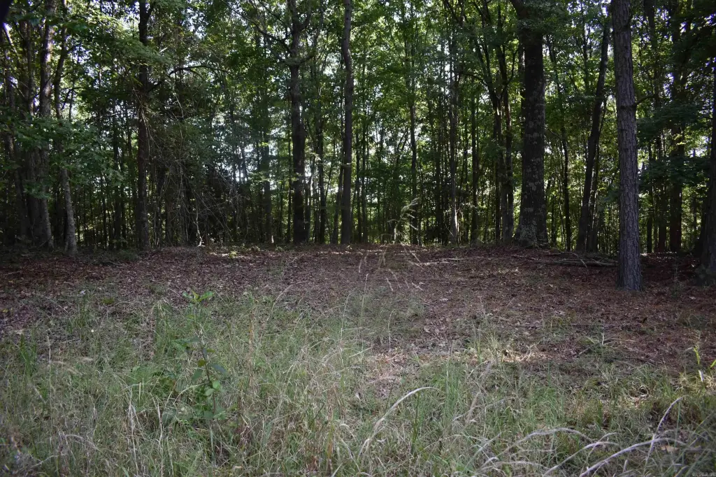Picture 40