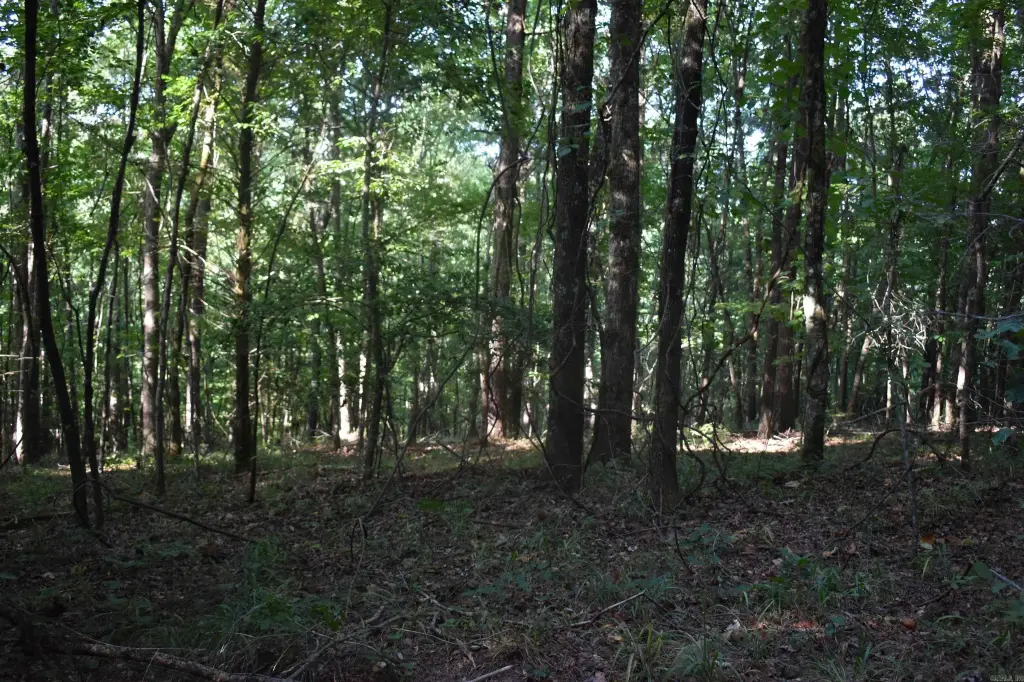 Picture 38