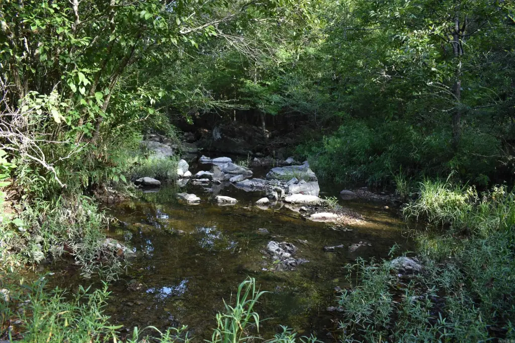 Picture 29