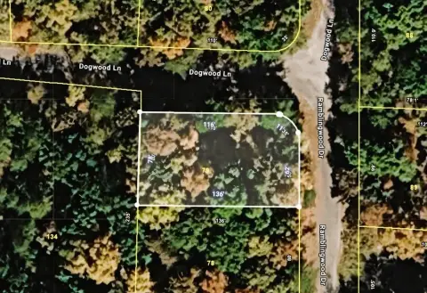 Wooded Lot Near Kentucky Lake