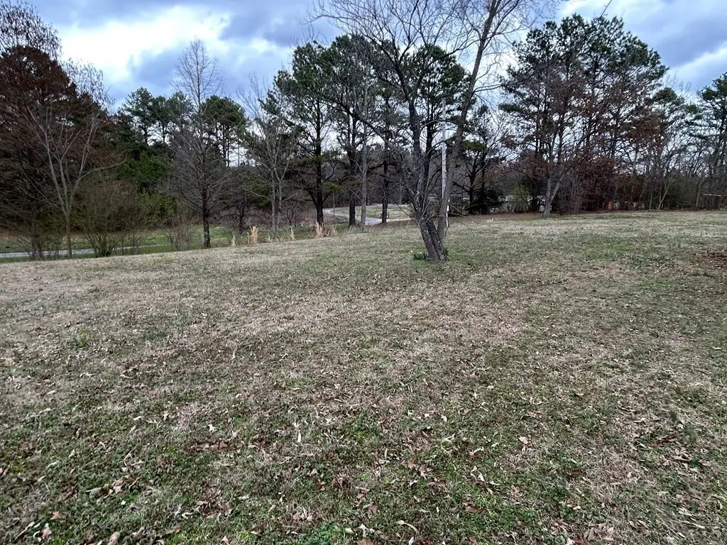 Picture 15