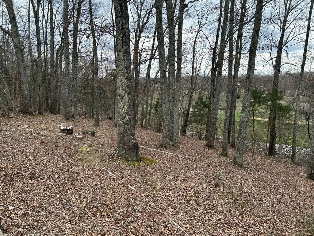 Picture 16