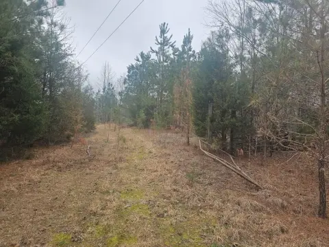 Residential Land in Camden, TN