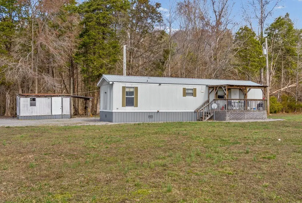 Picture 44