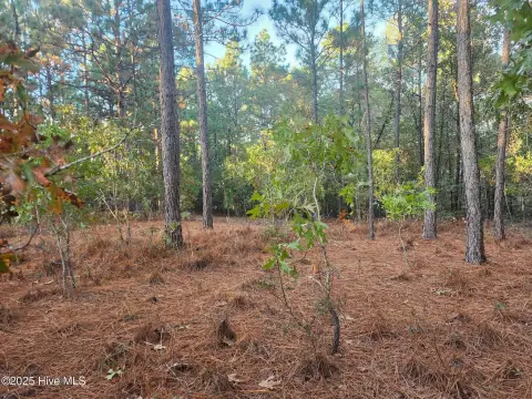 Wooded Lot with Water Views