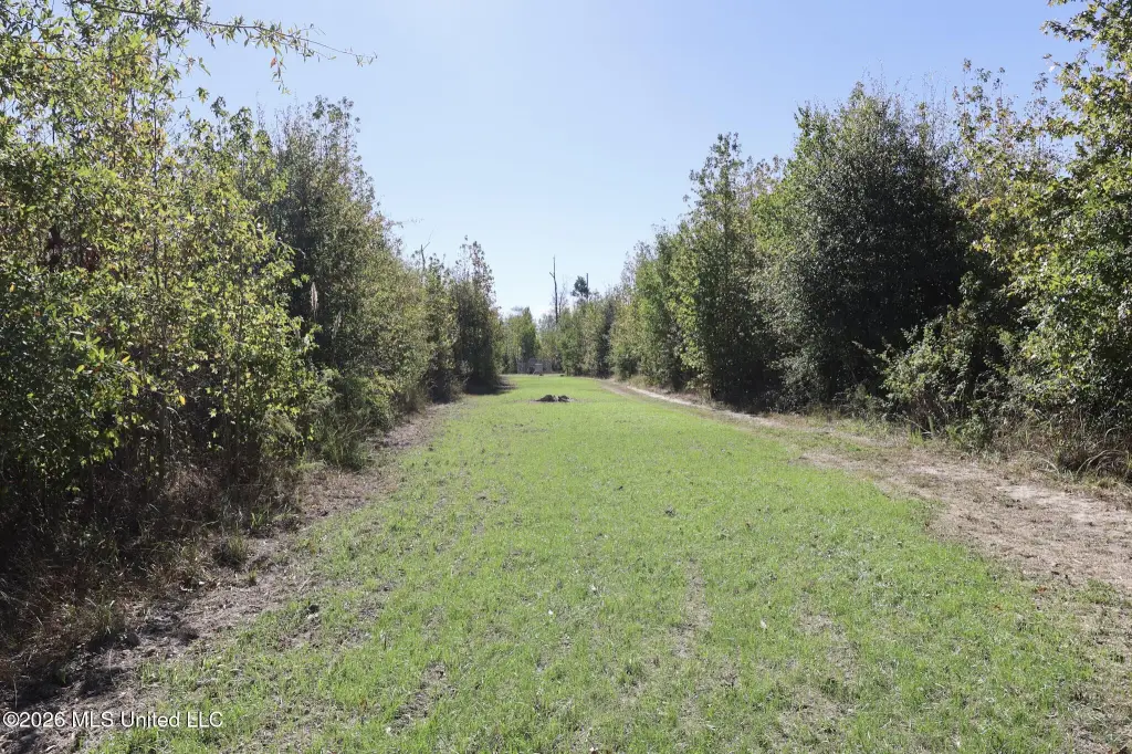 Picture 21