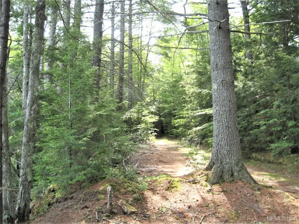 Picture 16